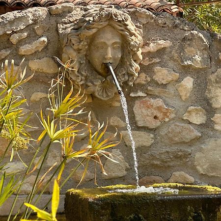 ホテル Mas Des Bambous Saint-Rémy-de-Provence エクステリア 写真