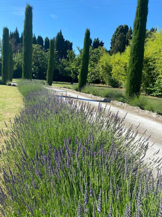 ホテル Mas Des Bambous Saint-Rémy-de-Provence エクステリア 写真