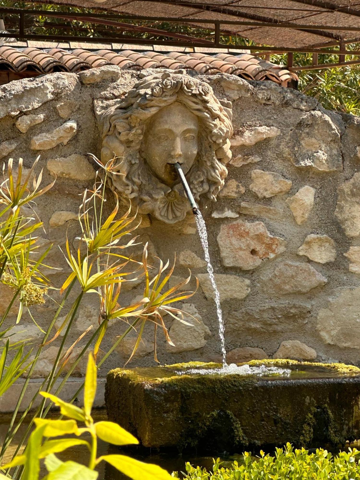 ホテル Mas Des Bambous Saint-Rémy-de-Provence エクステリア 写真