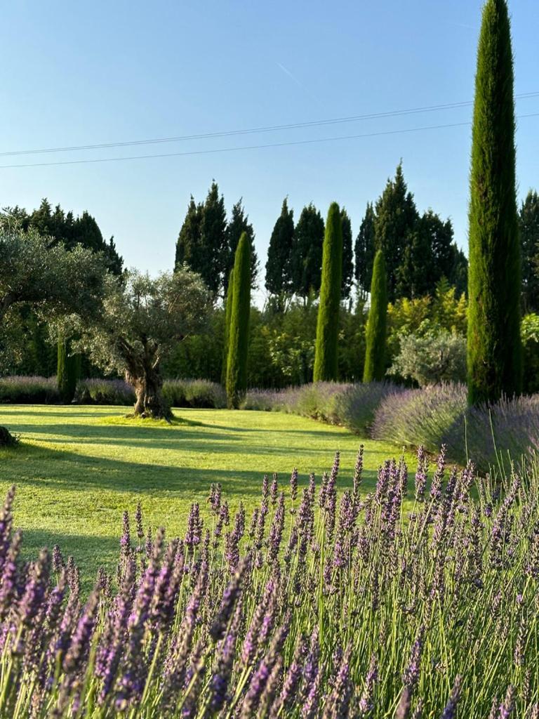 ホテル Mas Des Bambous Saint-Rémy-de-Provence エクステリア 写真
