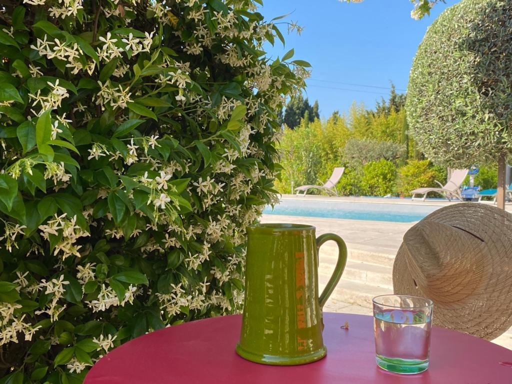 ホテル Mas Des Bambous Saint-Rémy-de-Provence エクステリア 写真